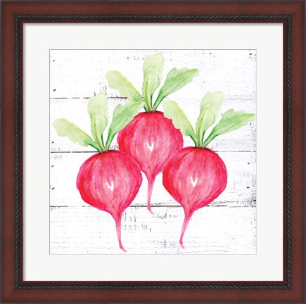 Framed Farm Fresh Radishes Print