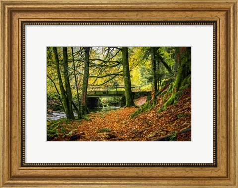 Framed Black Forest River Bridge Print