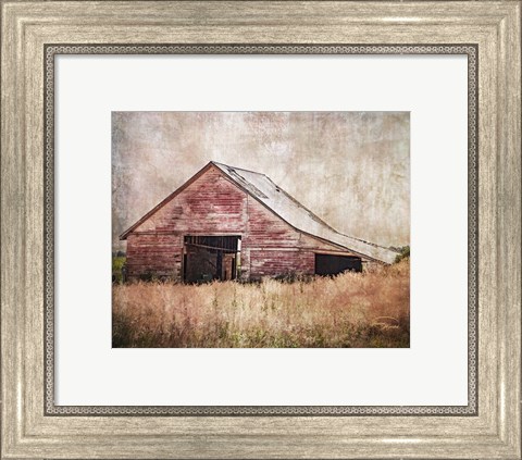 Framed Red Shed Print