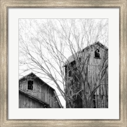 Framed Barn Windows Print