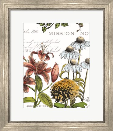 Framed Botanical Postcard Color II Print