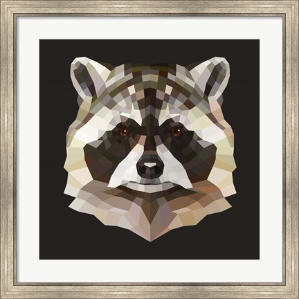 Framed Raccoon Print