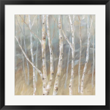 Framed Silver Birch Square Print