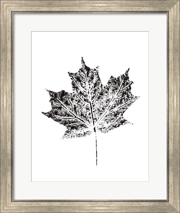 Framed Harvest Sentiments I BW no Words Print