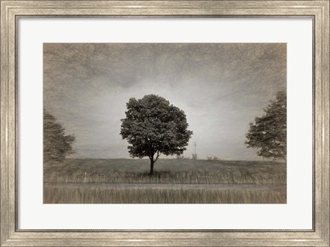 Framed Tree with Rape Field in Springtime Print