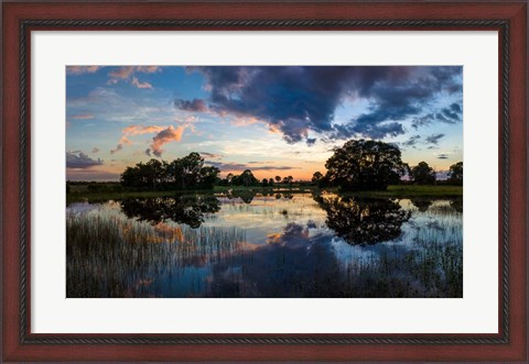 Framed Small Pond at Sunset, Venice, Florida Print