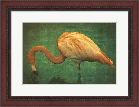 Framed Caribbean Flamingo Print