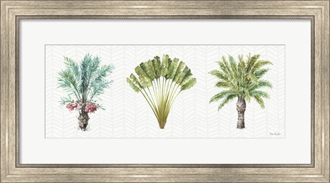 Framed Mixed Greens XVI Print