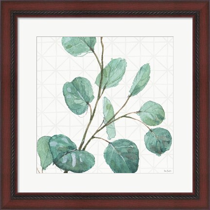 Framed Mixed Greens LI Print