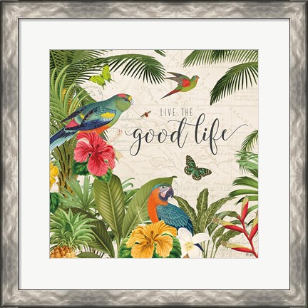 Framed Parrot Paradise IV Print