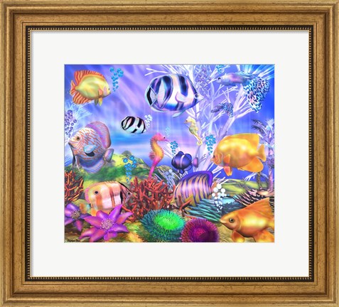 Framed Ocean&#39;s Little Wonders Print