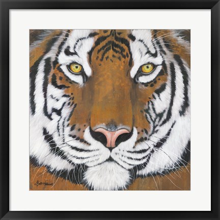 Framed Tiger Gaze Print