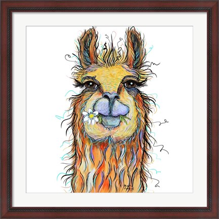 Framed Llama with Daisy Print