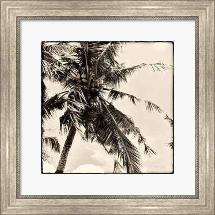 Framed Palm Tree Sepia II Print