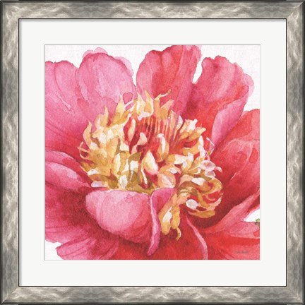 Framed Pink Garden V Print