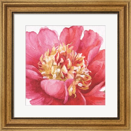 Framed Pink Garden V Print