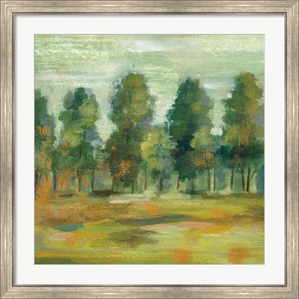 Framed Forest II Print