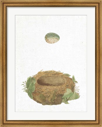 Framed Spring Nest IV Print