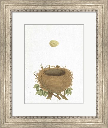 Framed Spring Nest II Print