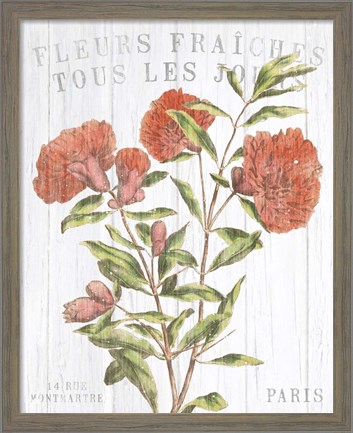 Framed Fleuriste Paris III Print