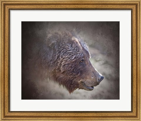 Framed Grizzly Bear Boar Print