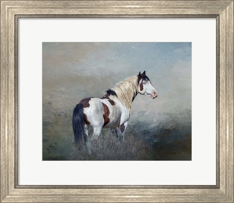 Framed Shaman - S Steens Wild Stallion Print