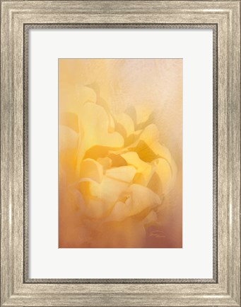 Framed Showers of Light Print