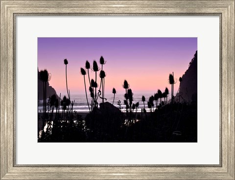 Framed Beach Twilight I Print