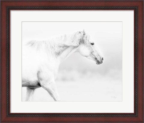 Framed Horse Print