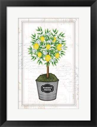 Framed Lemon Topiary Print