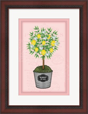 Framed Lemon Topiary - Pink Print