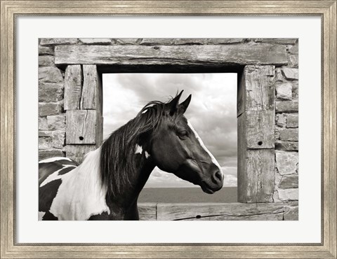 Framed Painted Horse (BW) Print