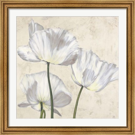 Framed Poppies in White II Print