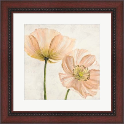 Framed Poppies in Pink II Print