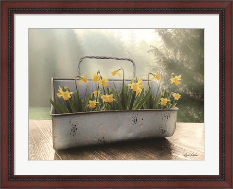 Framed Daffodil Tin Print