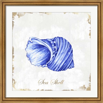 Framed Blue Seashell Print