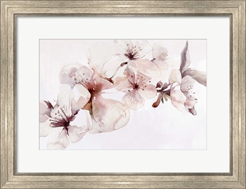 Framed Watercolor Blossoms I Print