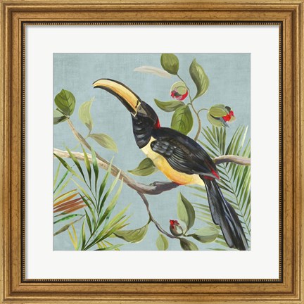 Framed Paradise Toucan II Print