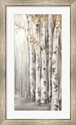 Framed Sunset Birch Forest II Print