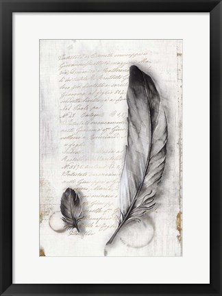 Framed Vintage Feathers II Print