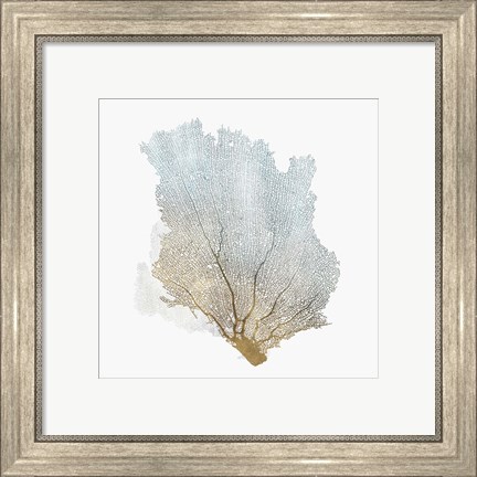 Framed Delicate Coral I Print