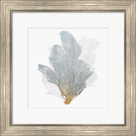 Framed Delicate Coral II Print