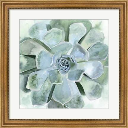 Framed Verdant Succulent III Print