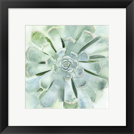 Framed Verdant Succulent IV Print