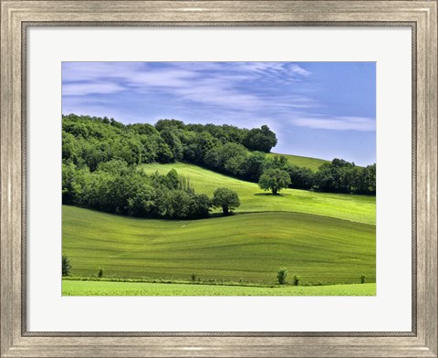 Framed Pastoral Countryside II Print