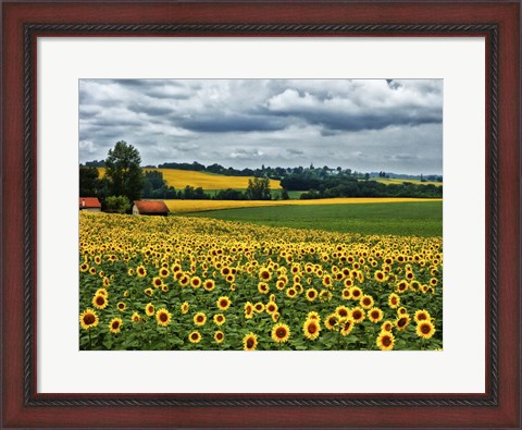 Framed Pastoral Countryside IV Print