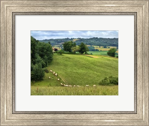 Framed Pastoral Countryside V Print