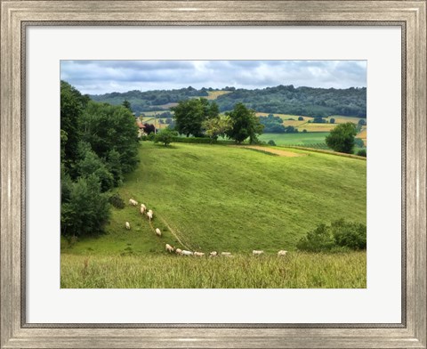 Framed Pastoral Countryside V Print