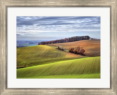 Framed Pastoral Countryside XX Print