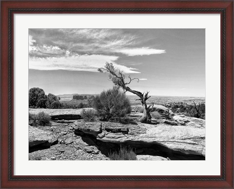 Framed Canyon Lands IV Print